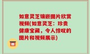如意灵芝镶嵌图片欣赏视频(如意灵芝：珍贵健康宝藏，令人惊叹的图片和视频展示)