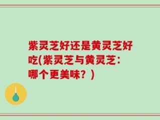 紫灵芝好还是黄灵芝好吃(紫灵芝与黄灵芝：哪个更美味？)
