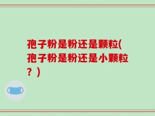 孢子粉是粉还是颗粒(孢子粉是粉还是小颗粒？)