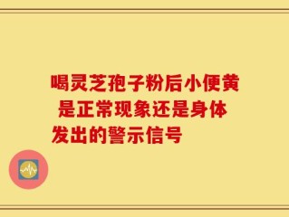 喝灵芝孢子粉后小便黄 是正常现象还是身体发出的警示信号