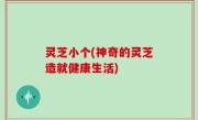 灵芝小个(神奇的灵芝造就健康生活)