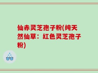 仙赤灵芝孢子粉(纯天然仙草：红色灵芝孢子粉)