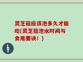 灵芝菇应该泡多久才能吃(灵芝菇泡水时间与食用要诀！)