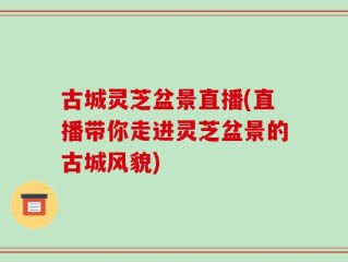 古城灵芝盆景直播(直播带你走进灵芝盆景的古城风貌)