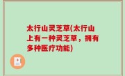 太行山灵芝草(太行山上有一种灵芝草，拥有多种医疗功能)