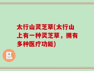 太行山灵芝草(太行山上有一种灵芝草，拥有多种医疗功能)