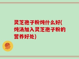 灵芝孢子粉炖什么好(炖汤加入灵芝孢子粉的营养好处)