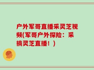 户外军哥直播采灵芝视频(军哥户外探险：采摘灵芝直播！)