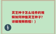 灵芝种子怎么培养的视频如何种植灵芝种子？详细视频教程！)