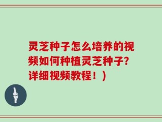 灵芝种子怎么培养的视频如何种植灵芝种子？详细视频教程！)