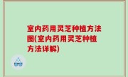 室内药用灵芝种植方法图(室内药用灵芝种植方法详解)