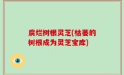 腐烂树根灵芝(枯萎的树根成为灵芝宝库)