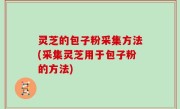 灵芝的包子粉采集方法(采集灵芝用于包子粉的方法)