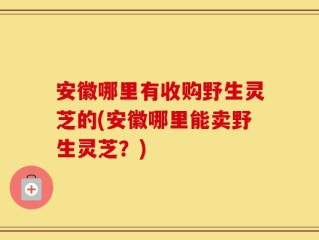 安徽哪里有收购野生灵芝的(安徽哪里能卖野生灵芝？)