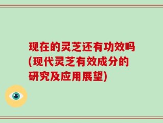 现在的灵芝还有功效吗(现代灵芝有效成分的研究及应用展望)