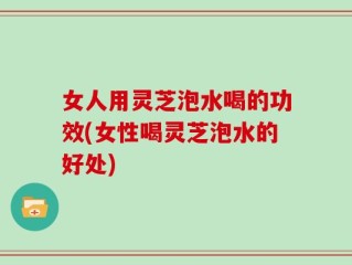 女人用灵芝泡水喝的功效(女性喝灵芝泡水的好处)