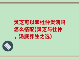 灵芝可以跟杜仲煲汤吗怎么搭配(灵芝与杜仲，汤底养生之选)