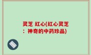 灵芝 红心(红心灵芝：神奇的中药珍品)