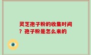灵芝孢子粉的收集时间？孢子粉是怎么来的