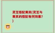 灵芝搭配黄芪(灵芝与黄芪的搭配有何效果？)