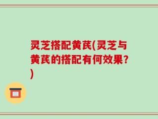 灵芝搭配黄芪(灵芝与黄芪的搭配有何效果？)