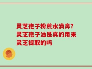 灵芝孢子粉煎水滴鼻？灵芝孢子油是真的用来灵芝提取的吗