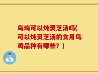 鸟鸡可以炖灵芝汤吗(可以炖灵芝汤的食用鸟鸡品种有哪些？)