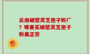 云南破壁灵芝孢子粉厂？哪里买破壁灵芝孢子粉最正宗