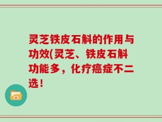 灵芝铁皮石斛的作用与功效(灵芝、铁皮石斛功能多，化疗癌症不二选！