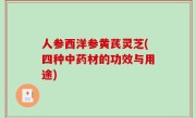 人参西洋参黄芪灵芝(四种中药材的功效与用途)