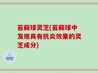 苔藓球灵芝(苔藓球中发现具有抗炎效果的灵芝成分)