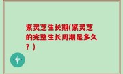 紫灵芝生长期(紫灵芝的完整生长周期是多久？)