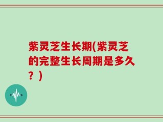 紫灵芝生长期(紫灵芝的完整生长周期是多久？)