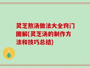 灵芝熬汤做法大全窍门图解(灵芝汤的制作方法和技巧总结)