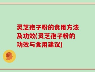灵芝孢子粉的食用方法及功效(灵芝孢子粉的功效与食用建议)