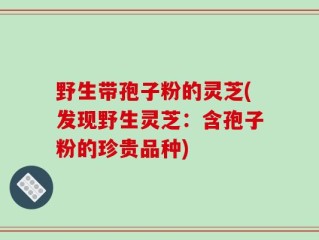 野生带孢子粉的灵芝(发现野生灵芝：含孢子粉的珍贵品种)