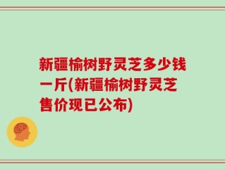 新疆榆树野灵芝多少钱一斤(新疆榆树野灵芝售价现已公布)