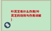叶灵芝有什么作用(叶灵芝的功效与作用详解)