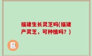 福建生长灵芝吗(福建产灵芝，可种植吗？)