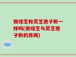 微琼芝和灵芝孢子粉一样吗(微琼芝与灵芝孢子粉的异同)
