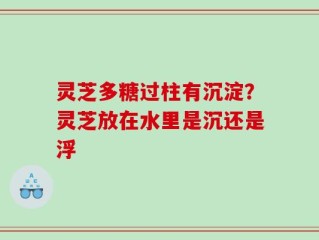 灵芝多糖过柱有沉淀？灵芝放在水里是沉还是浮