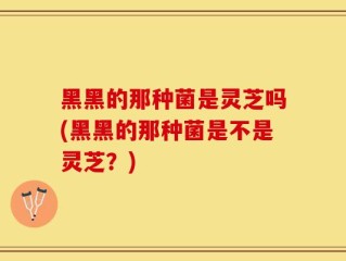 黑黑的那种菌是灵芝吗(黑黑的那种菌是不是灵芝？)
