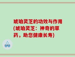 琥珀灵芝的功效与作用(琥珀灵芝：神奇的草药，助您健康长寿)