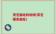灵芝偷吃的功效(灵芝摄食益处)