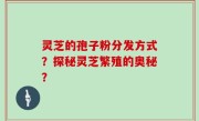 灵芝的孢子粉分发方式？探秘灵芝繁殖的奥秘？