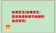 哈弗灵芝(哈弗灵芝：促进免疫和调节血糖的自然良药)