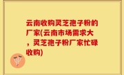 云南收购灵芝孢子粉的厂家(云南市场需求大，灵芝孢子粉厂家忙碌收购)