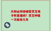 大别山特级破壁灵芝孢子粉直播间？灵芝种植一次能收几年