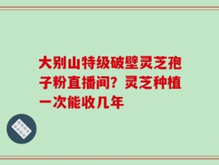 大别山特级破壁灵芝孢子粉直播间？灵芝种植一次能收几年