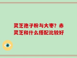 灵芝孢子粉与大枣？赤灵芝和什么搭配比较好